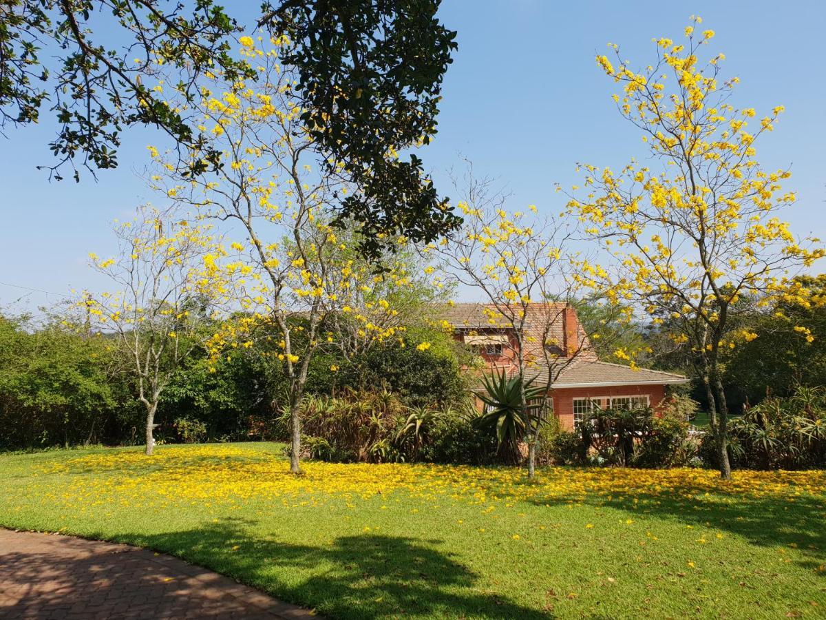18 Pioneer Bnb Kloof Exterior foto